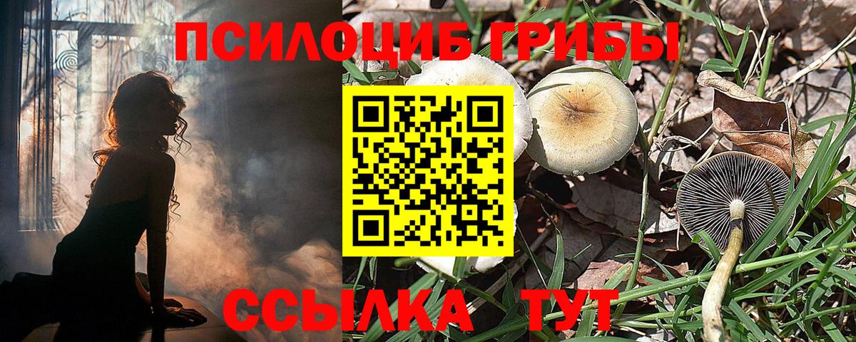 Ханты-Мансийск  Галлюциногенные грибы Magic Shrooms  Вход с VPN  Псилоцибиновые грибы мицелий 